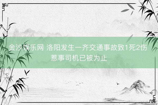 金沙娱乐网 洛阳发生一齐交通事故致1死2伤 惹事司机已被为止