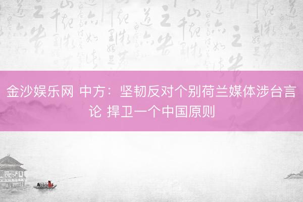 金沙娱乐网 中方：坚韧反对个别荷兰媒体涉台言论 捍卫一个中国原则