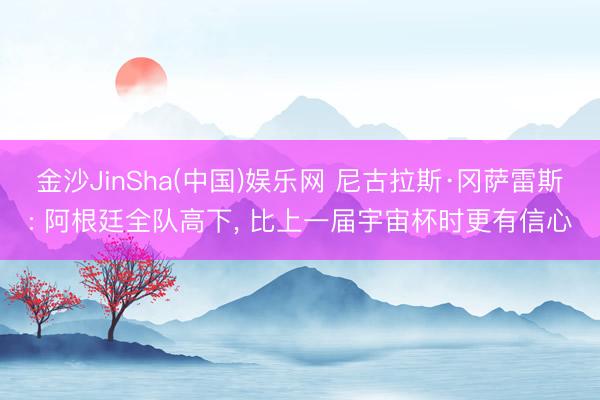 金沙JinSha(中国)娱乐网 尼古拉斯·冈萨雷斯: 阿根廷全队高下， 比上一届宇宙杯时更有信心