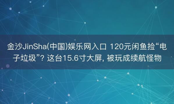 金沙JinSha(中国)娱乐网入口 120元闲鱼捡“电子垃圾”? 这台15.6寸大屏， 被玩成续航怪物
