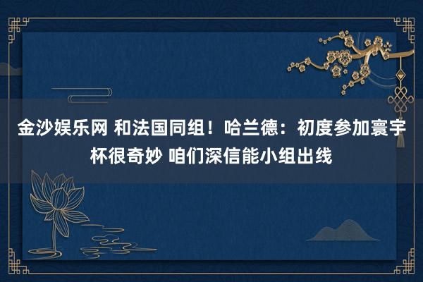 金沙娱乐网 和法国同组！哈兰德：初度参加寰宇杯很奇妙 咱们深信能小组出线