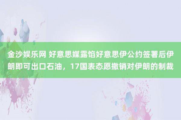 金沙娱乐网 好意思媒露馅好意思伊公约签署后伊朗即可出口石油,17国表态愿撤销对伊朗的制裁